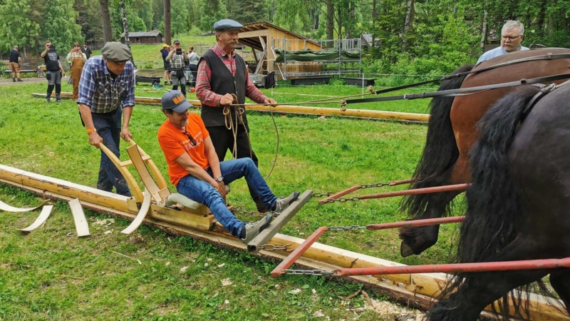 Flishøvling med hest