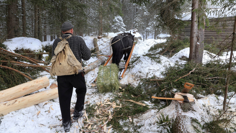Tømmerkjøring teaserbilde