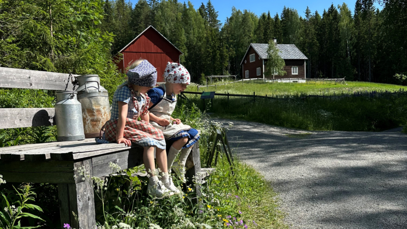 Jenter på melkerampa