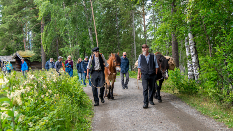 Setervandring med museumsbøndene