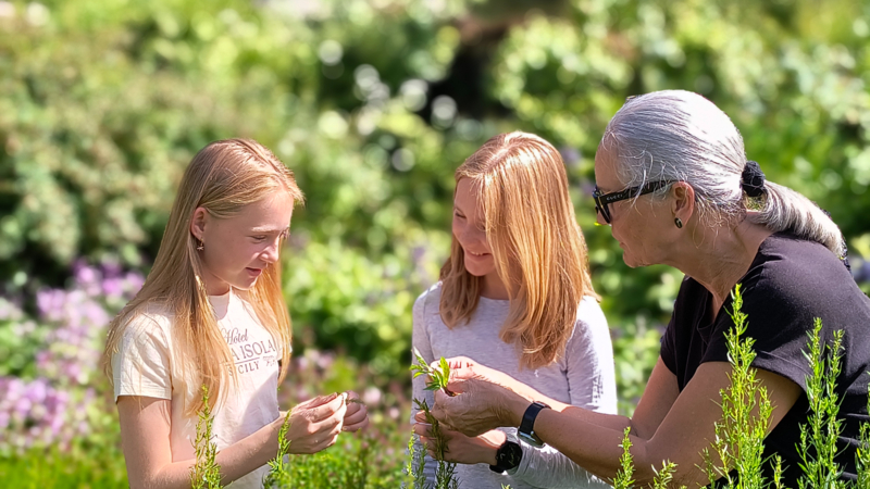Urtedag på Maihaugen 2026 - foto Kristina Skåden