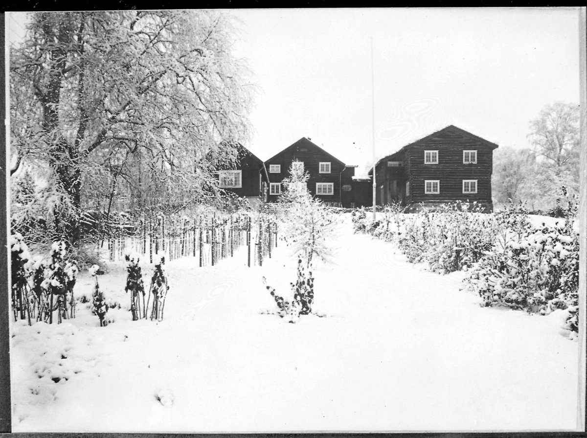 Vinter p&aring; Bjerkeb&aelig;k, antatt 1925&ndash;1935. Foto: Sigrid Undsets Bjerkeb&aelig;k

