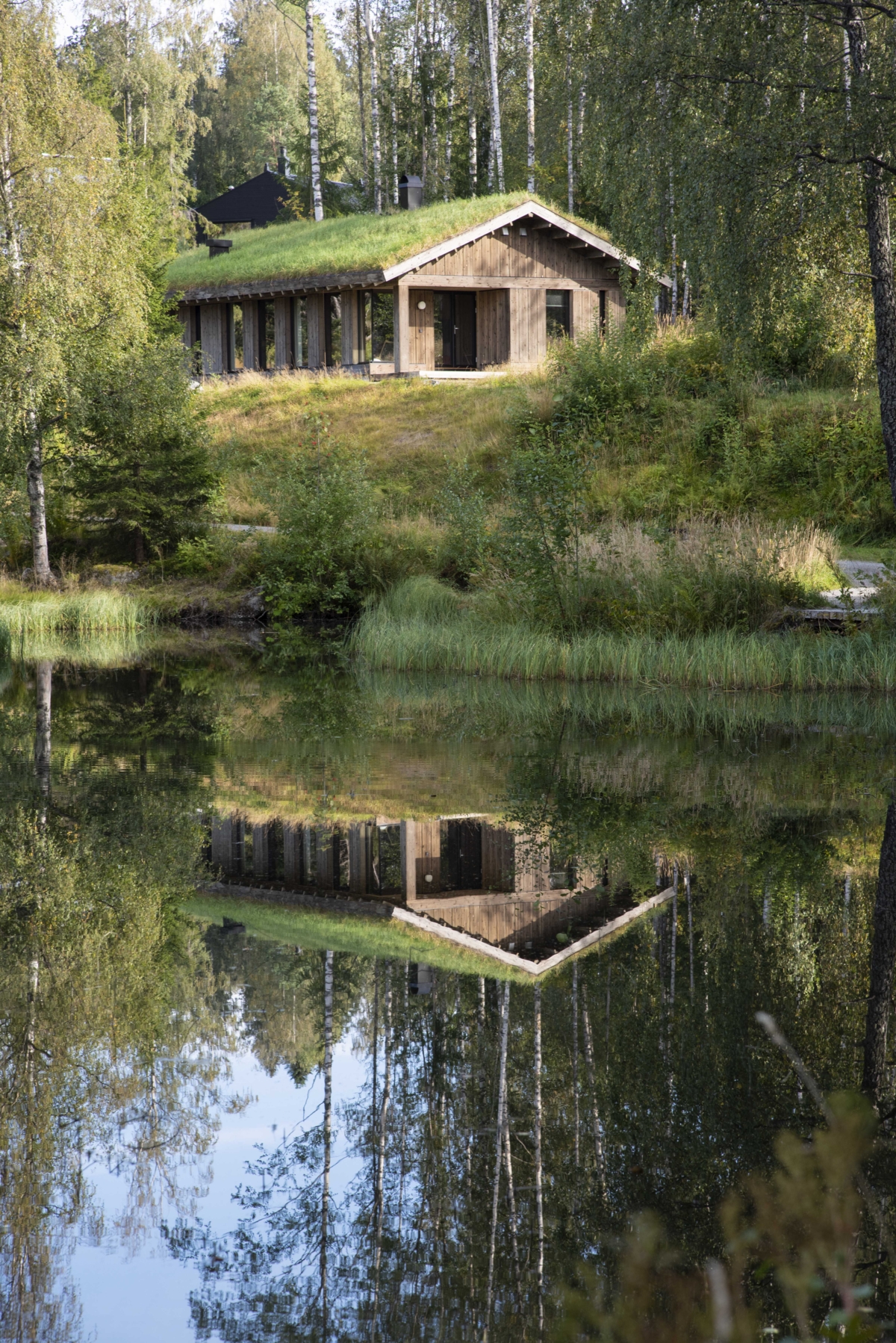 Moderne hytte med torvtak speiler seg i vannet.
