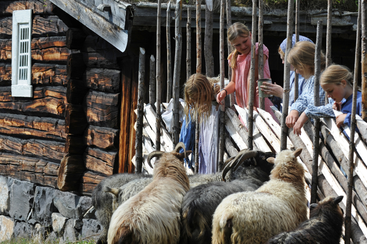 Foto: Esben Haakenstad / Maihaugen


