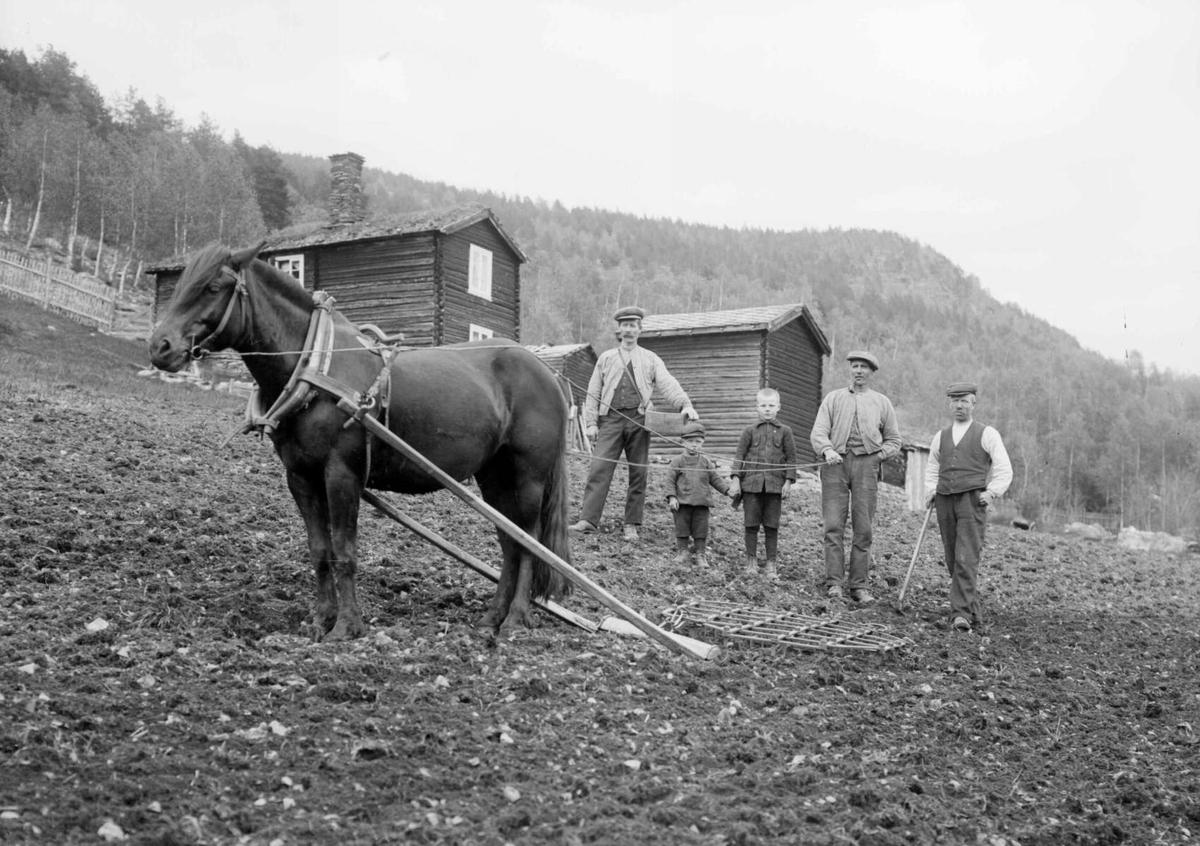 Hesten var en viktig deltager i g&aring;rdsarbeidet. Foto: Hans. H. Lie/Maihaugen.

