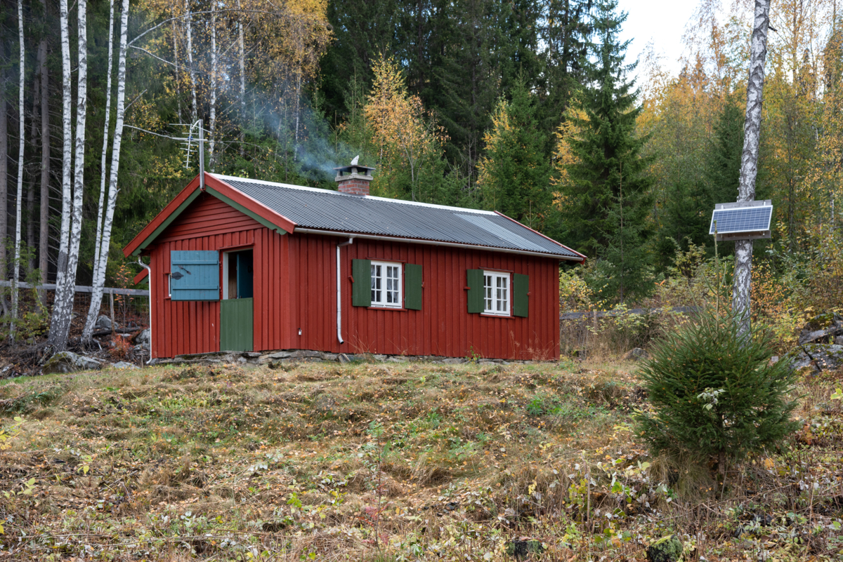 Rødmalt hytte med hvite vinduer og grønne vinduslemmer.
