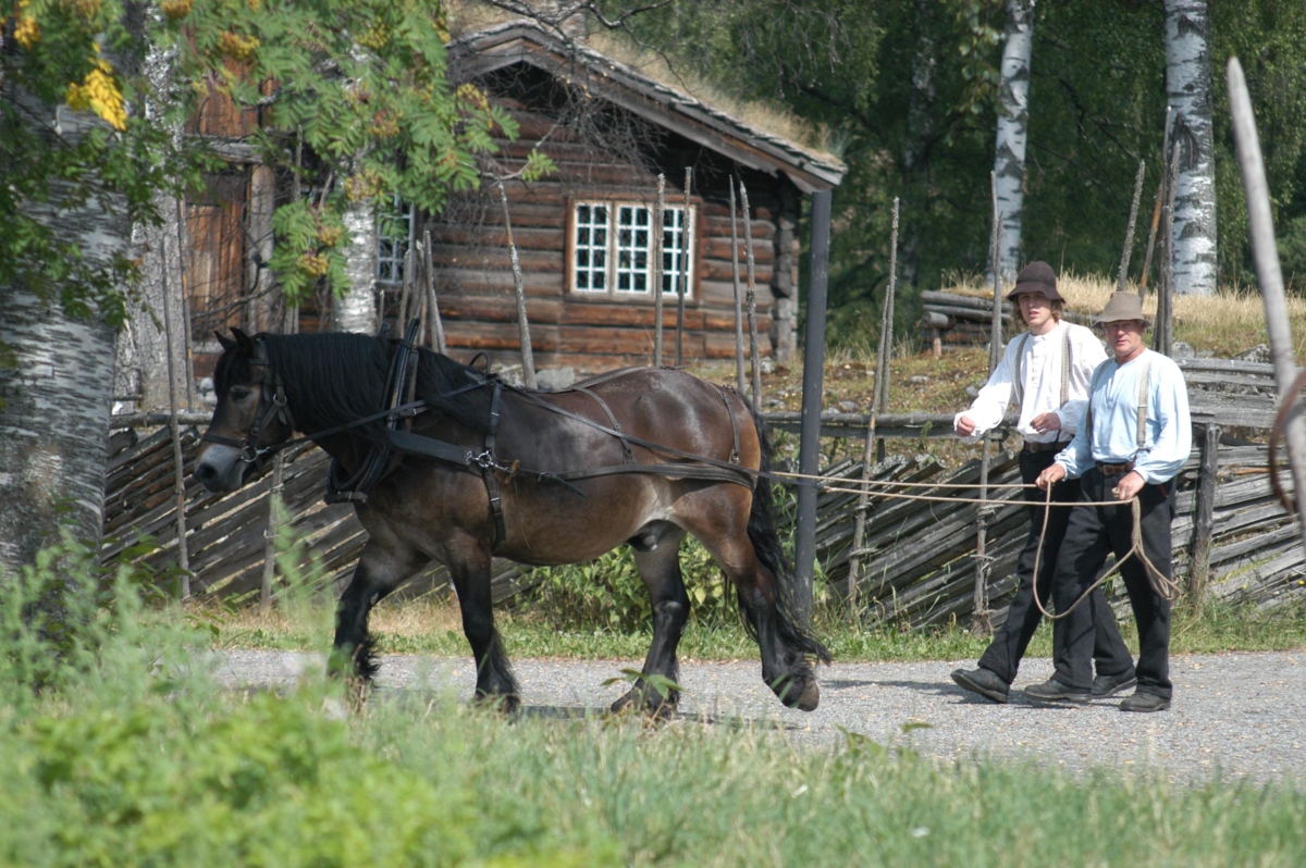 Hest med kjerre og gardskarer