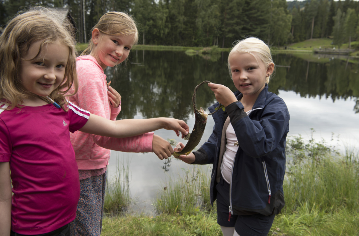 Tre jenter står med en fisk.