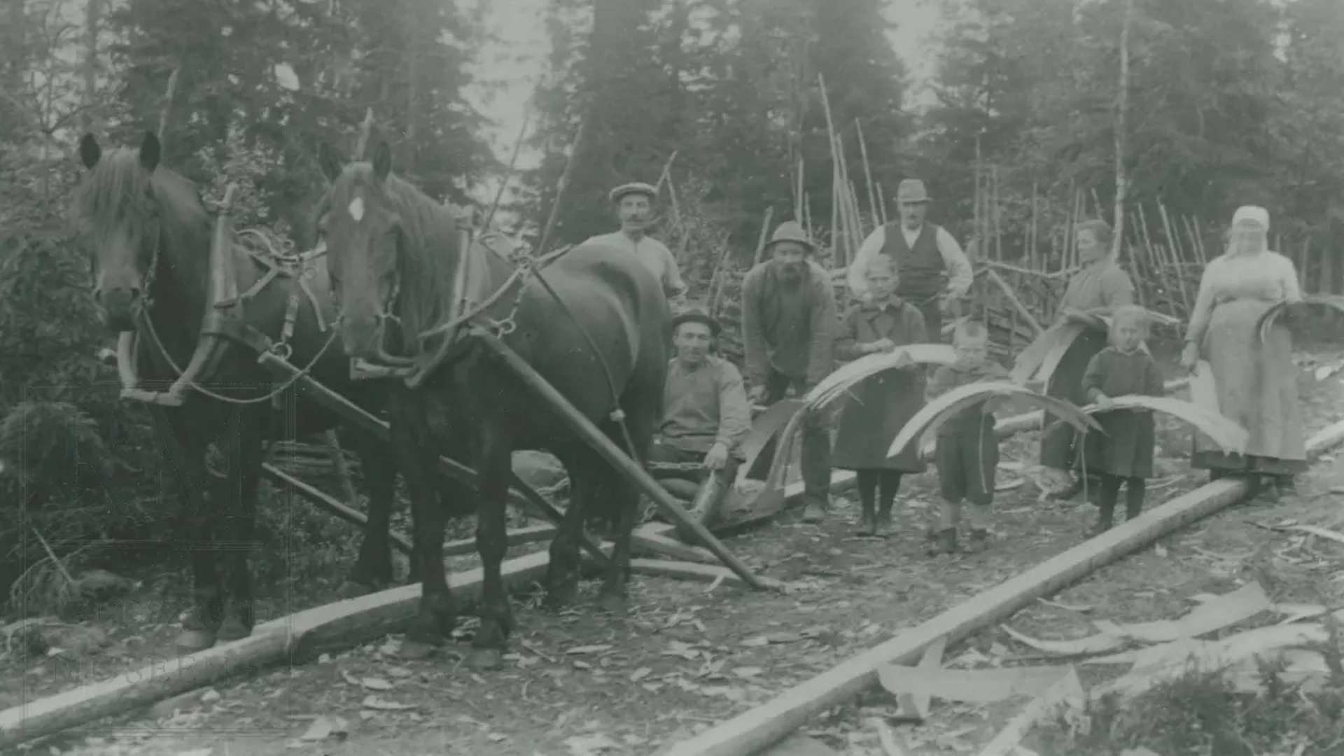 Flish&oslash;vling med hest i 1921