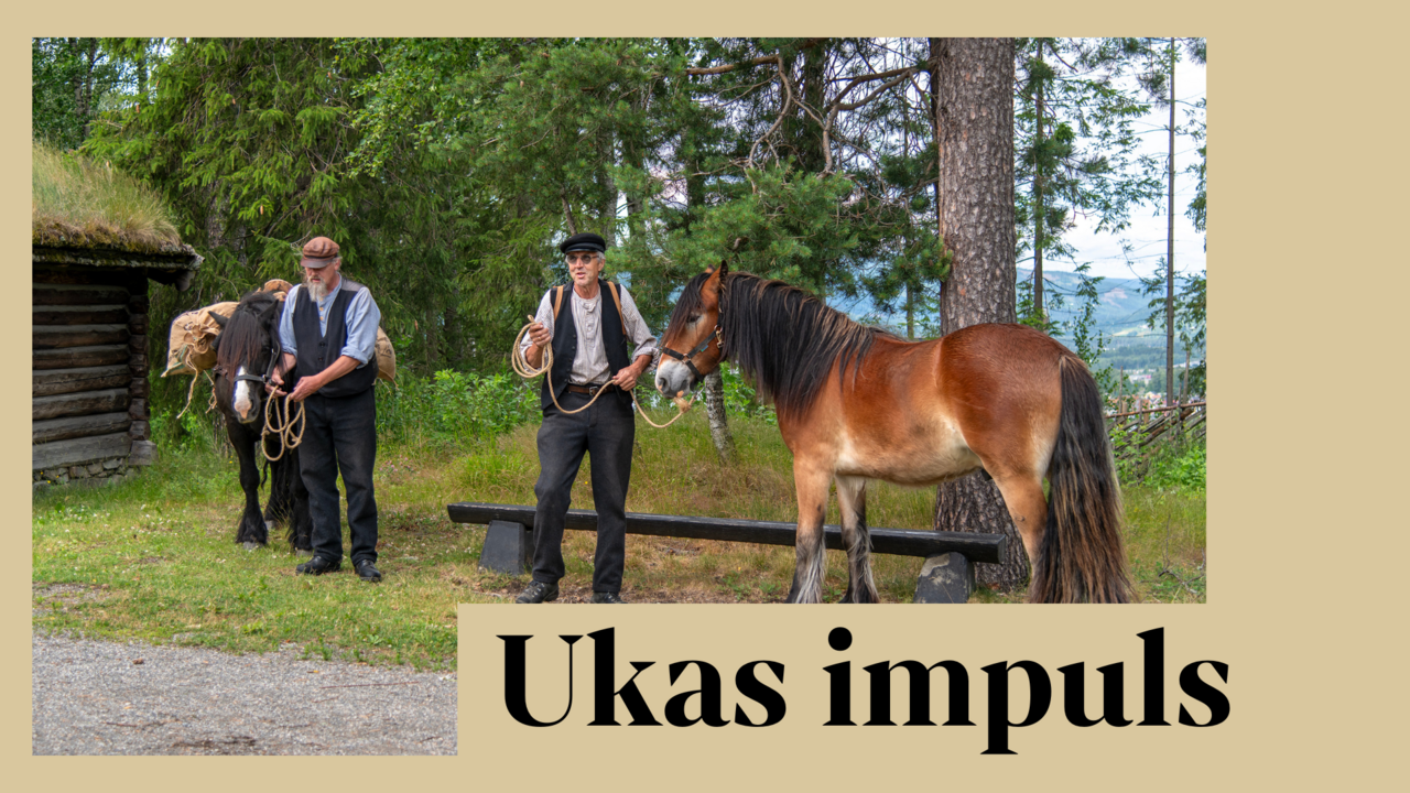Bønder og hest