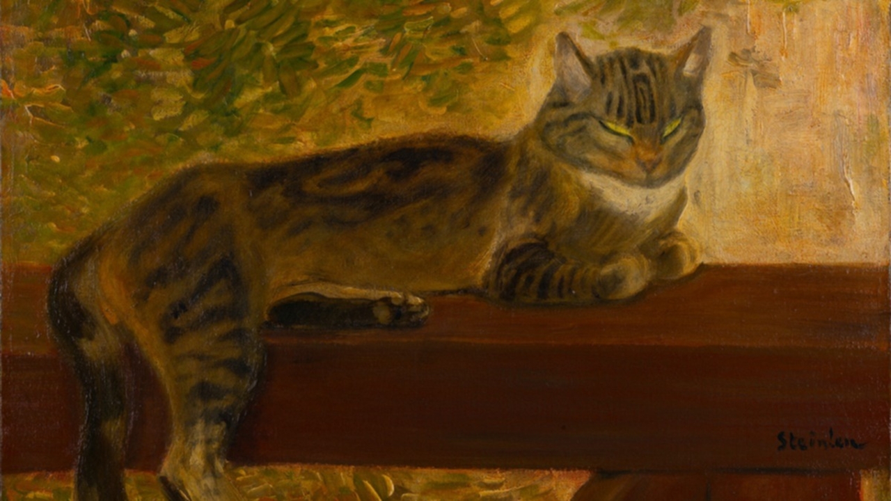 Katt_Malt av Steinlen