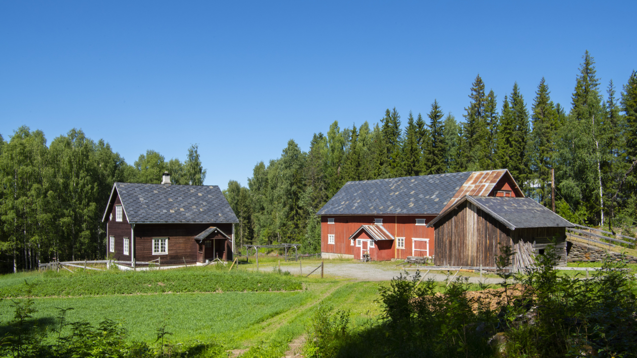Åseng