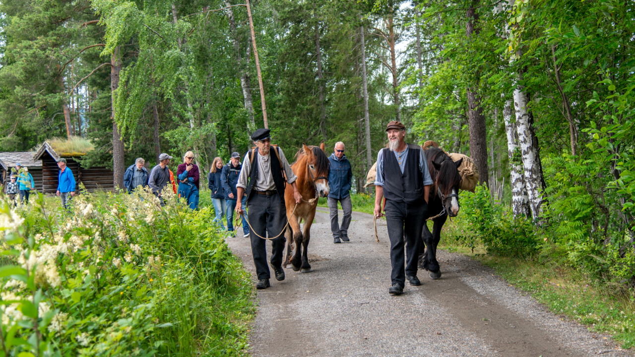 Setervandring med museumsbøndene