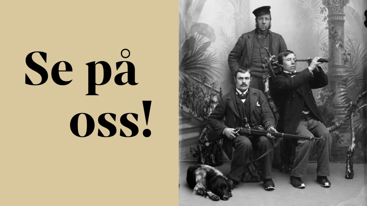 H. H. Lie - Se på oss - toppbilde