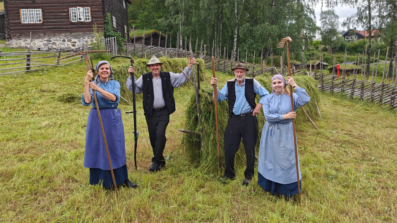Med ljå på Maihaugen